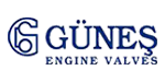 gunes